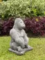 morepic-10
